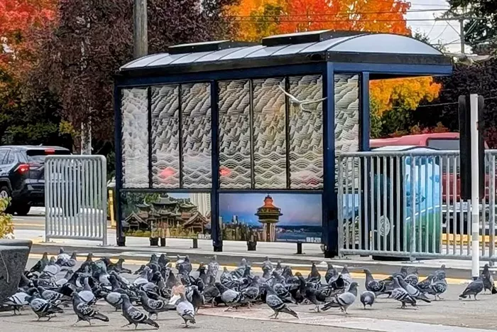 Slog AM: Dems Release Epstein Messages, Wilson&rsquo;s Lead Grows, and Vote on Bill to End Shutdown Expected Today